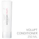 Sebastian Professional Volupt Conditioner 250ml