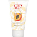 Burt's Bees Peach & Willowbark Deep Pore Scrub (4 oz / 110g)