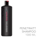 Sebastian Professional Penetraitt Shampoo 1000ml (Worth £56.00)
