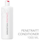 Sebastian Professional Penetraitt Conditioner 1000ml (Worth £68.00)