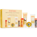 Burt's Natural Lips to Tips Kit