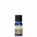 Lavender Essential Oil 10ml