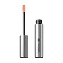 Concealer Broad Spectrum SPF 20
