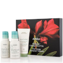 Aveda Calm for the Road Gift Set 140ml