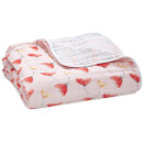 aden + anais Dream Blanket - Picked For You