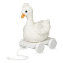 Cam Cam Pull Toy - Bird