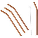 Broste Copenhagen Glass Straw - Set of 4 - Tan