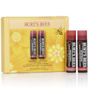 Farbiges Lippen Duo