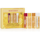 Beeswax Bounty