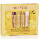 Bounty cire d'abeille