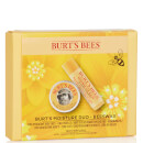 Moisture Duo Gift Set, Beeswax