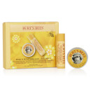 Coffret cadeau Burt's Bees® Hydratant Duo, cire d'abeille