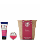 Radiance Wild Rose Duo