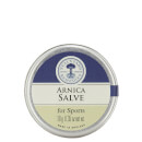 Arnica Salve 10g