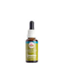 Creative Bush Flower Essence 30ml
