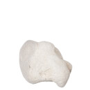 Pumice Stone