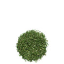 Comfrey Leaf 50g