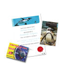 Adopt a Penguin