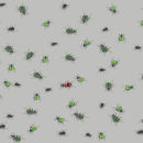 Beetles by Johnny Cotter Limited Edition A2 Print