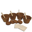 Grow Your Own Chocolate Flowers