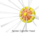 Spider Catcher