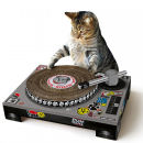 Cat Scratching DJ Deck