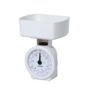Salter Mechanical Kitchen Scale