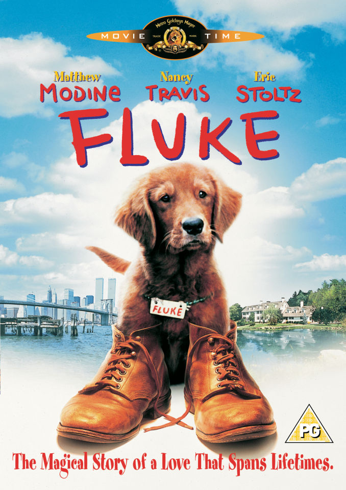 Dvd The L Word Saisons 1 à 6 Fluke DVD | Zavvi