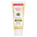 Burt's Bees Aloe & Buttermilk Lotion