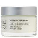 Elemental Herbology Cell Plumping Facial Hydrator SPF8 50ml