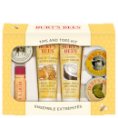 Burt's Bees Tips and Toes Kit