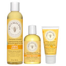 Burt's Bees Baby Bee Bundle
