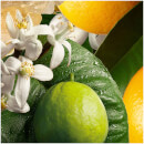 Molton Brown Orange & Bergamot Bath and Shower Gel