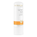Dr. Hauschka Lip Care Stick 4.9g