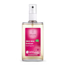 Weleda Women's Wild Rose Deodorant 100ml