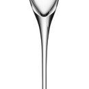 LSA Wine Champagne Flutes - 200ml (Set of 4)