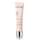 Caudalie Resvératrol Lift Face lifting moisturiser broad spectrum SPF20 (40ml)