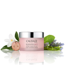 Caudalie Resvératrol Lift Night infusion cream (1.7oz)