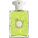 Amouage Sunshine Man Eau de Parfum (100ml)