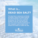 Westlab Dead Sea Salt 5kg
