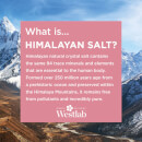 Sal dos Himalaias Westlab 500g