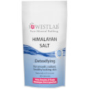 Sal dos Himalaias Westlab 500g