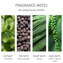 Molton Brown Re-Charge Black Pepper Anti-Perspirant Stick