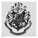 Harry Potter Men's Hogwarts Alumni T-Shirt - White