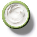 Origins A Perfect World™ SPF 40 Age-Defense Moisturiser with White Tea 50 ml