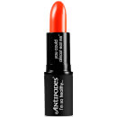 Antipodes Lipstick 4g - Piha Beach Tangerine