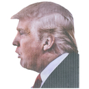 Ride With Car Stickers - Trump