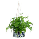 Orla Kiely Large Hanging Pot Spot - Flower Oval Apple