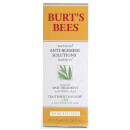 Burt's Bees Anti-Blemish Targeted Spot Treatment 7.5ml