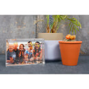 Glitter Photo Frame - Large